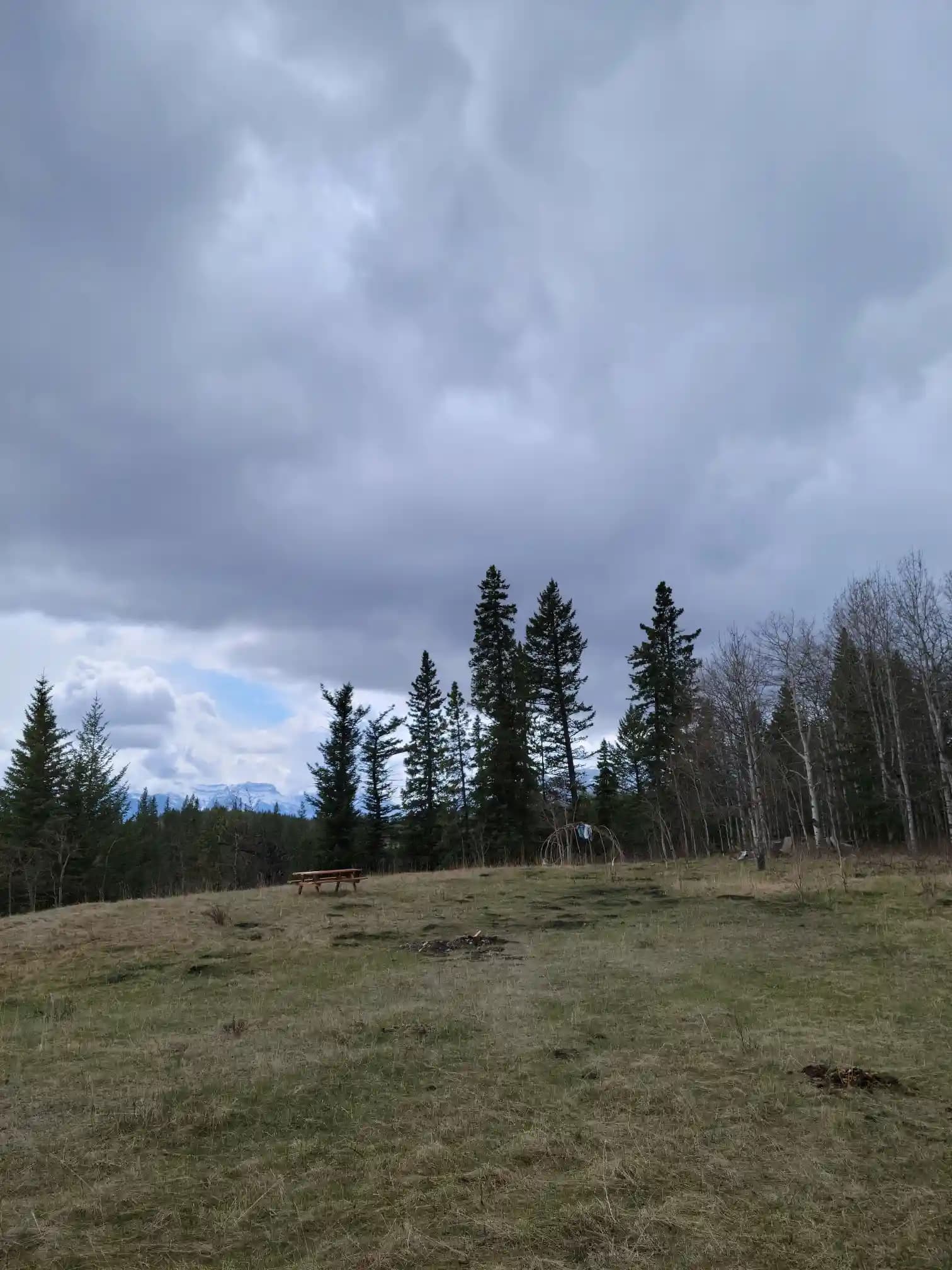 Photo of campsite A11