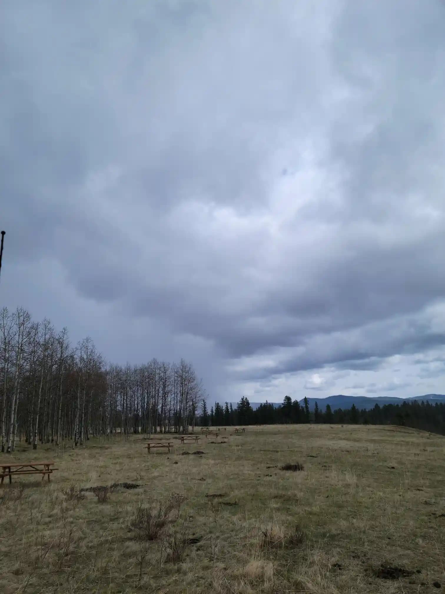 Photo of campsite A12 - A30