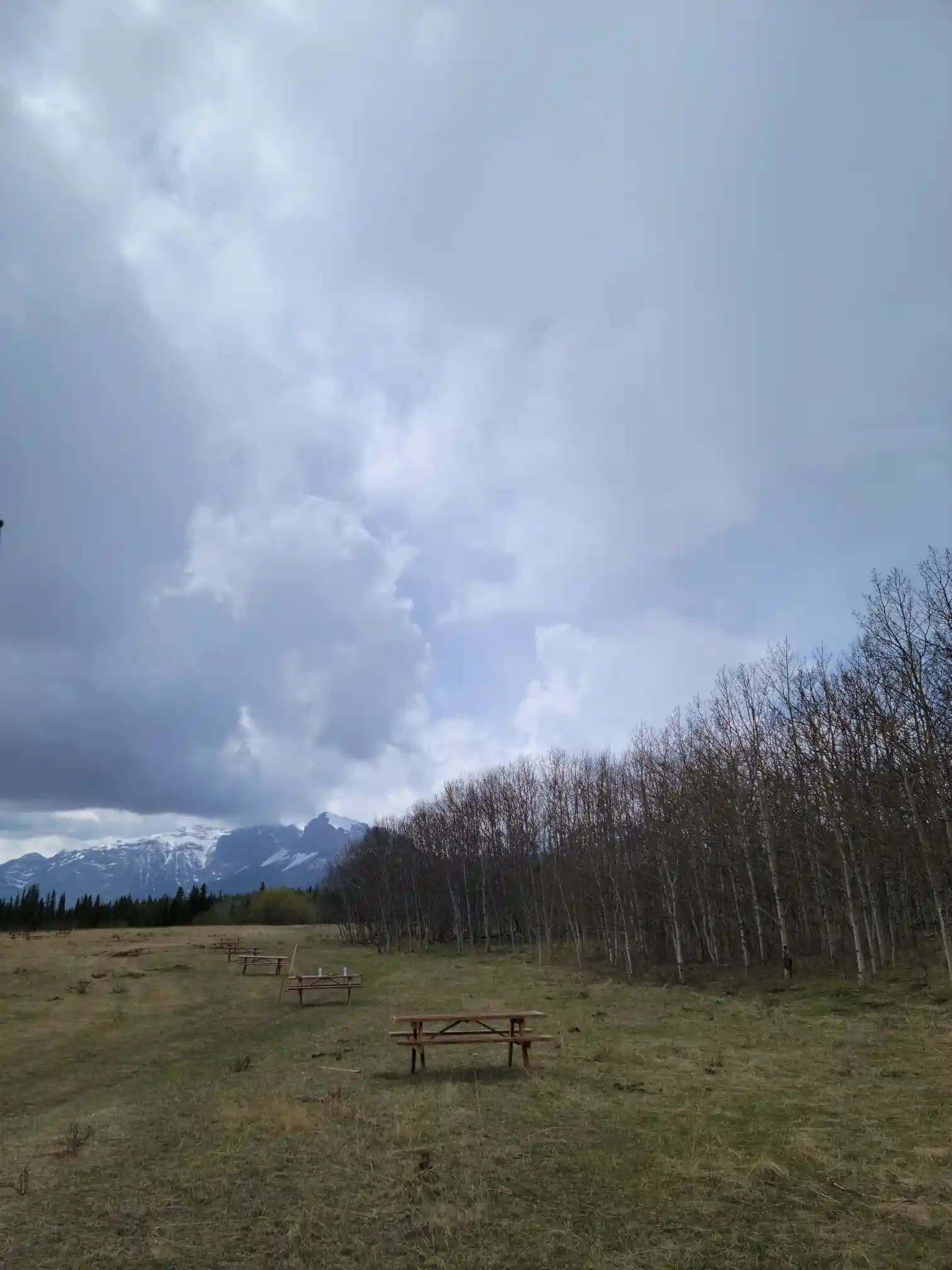 Photo of campsite A31 - A35