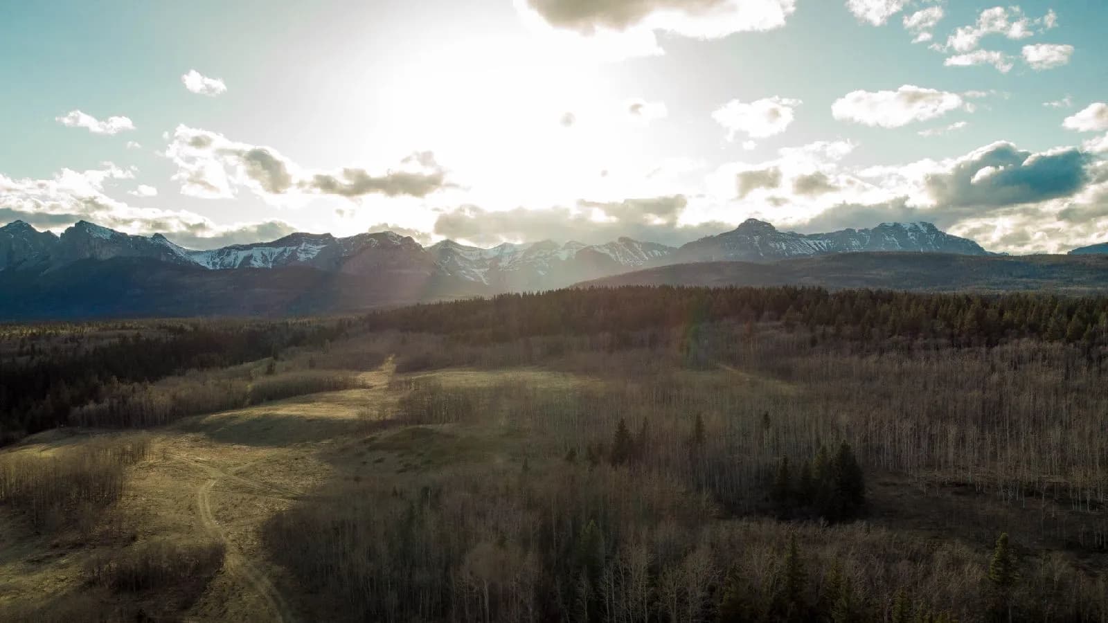 Camping Near Calgary: What to Know for 2026