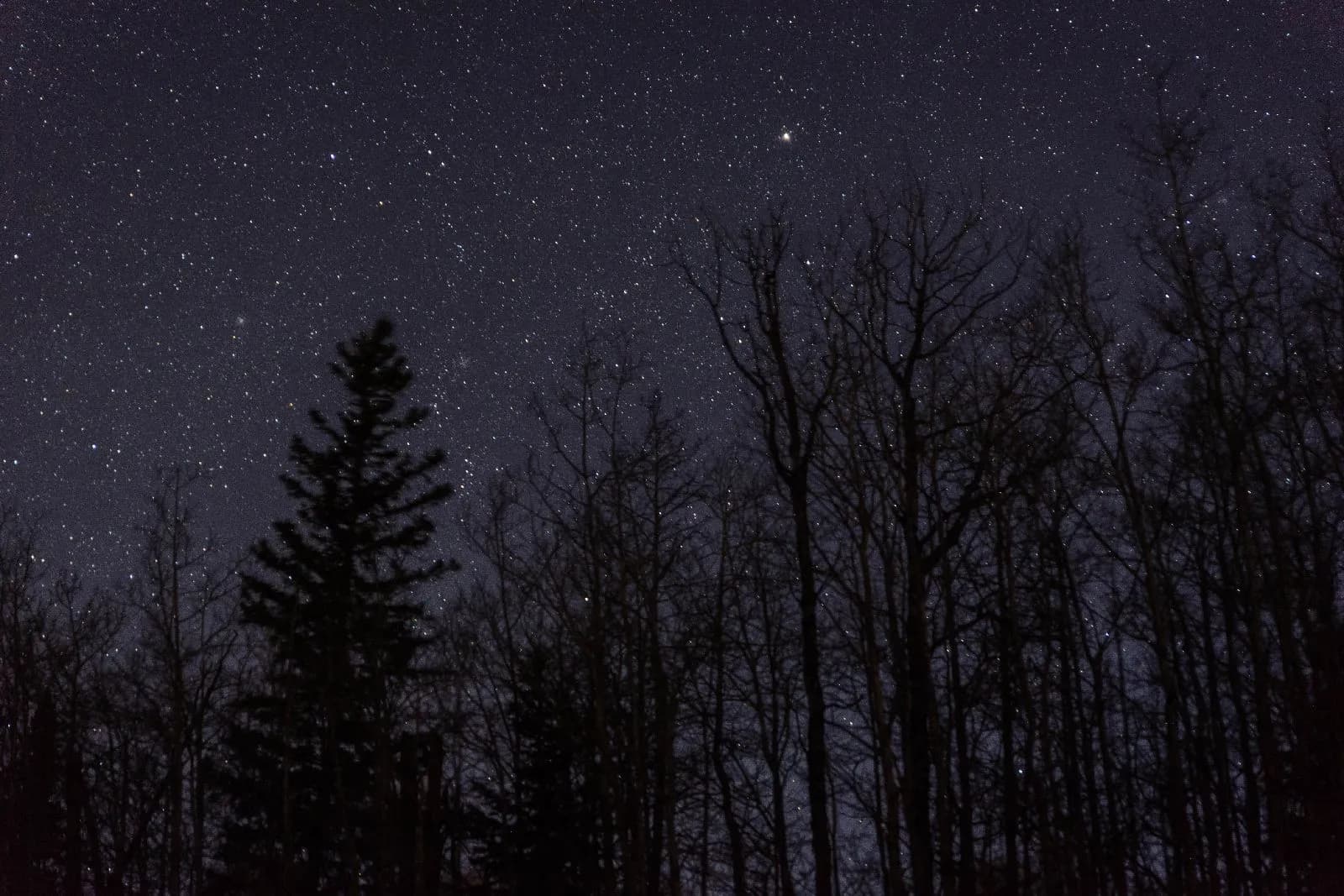 Night sky at Stoney Park